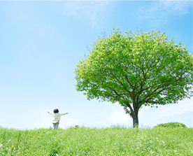 【2025年最新】脱炭素に向けた企業の取り組みについて