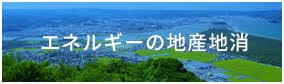 エネルギーの地産地消