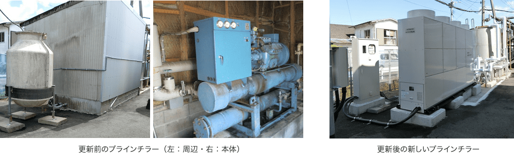 今後の展望について