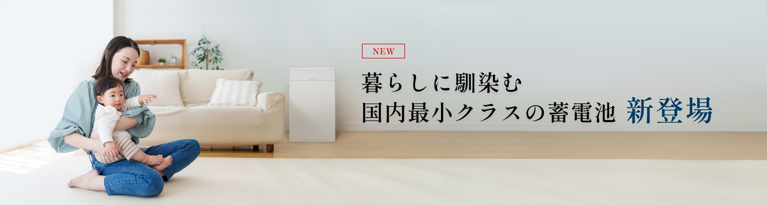 マルチ蓄電プラットフォーム KPBP-Aシリーズ
