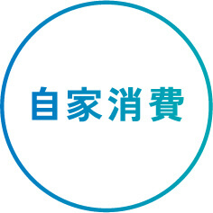 自家消費