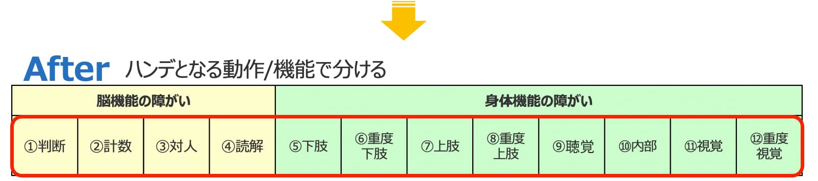 （After：ハンデとなる動作/機能で分ける）脳機能の障がい：①判断②計数③対人④読解/身体機能の障がい⑤下肢⑥重度下肢⑦上肢⑧重度上肢⑨聴覚⑩内部⑪視覚⑫重度視覚